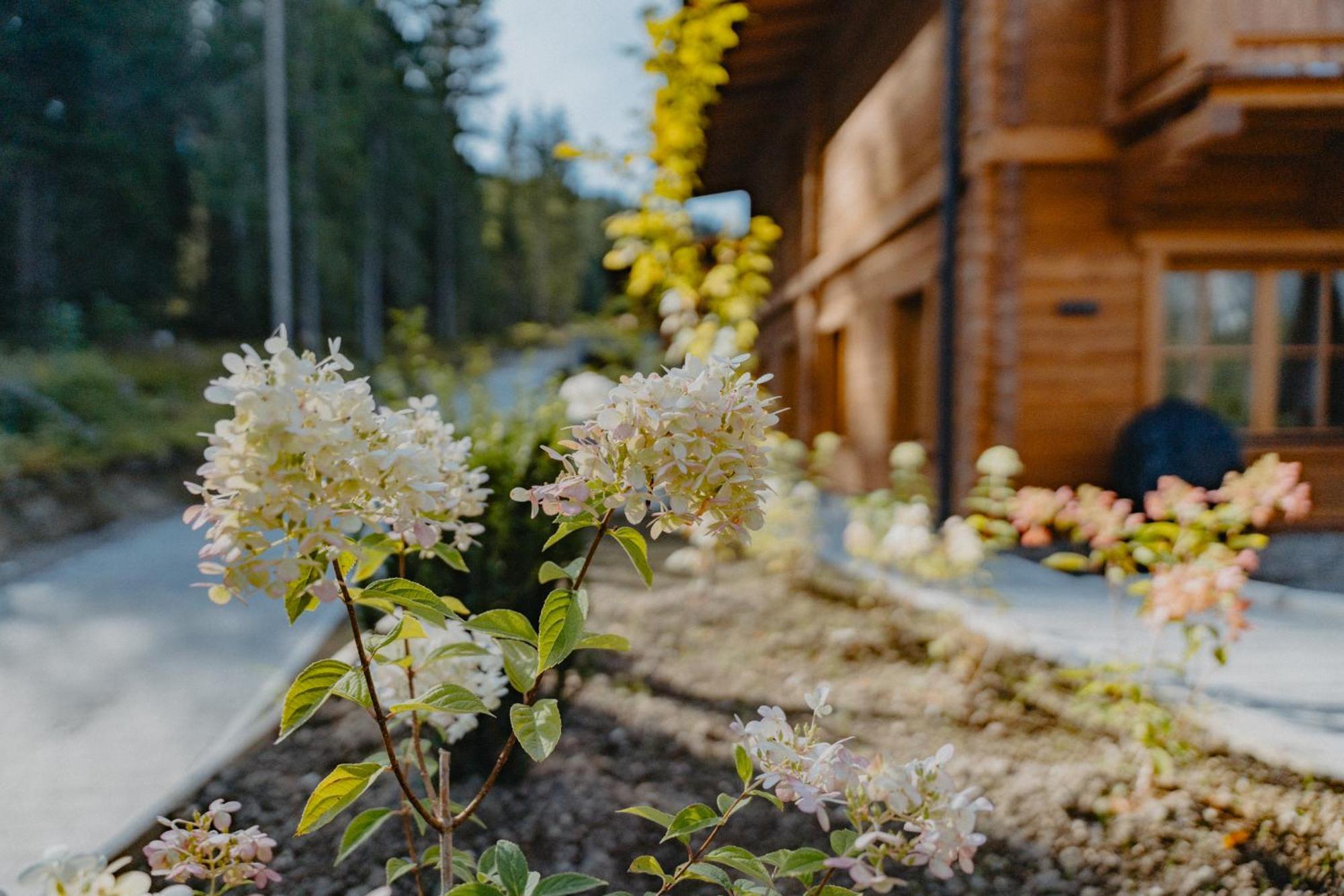 Sissi'S Green Chalets Leutasch Exterior photo